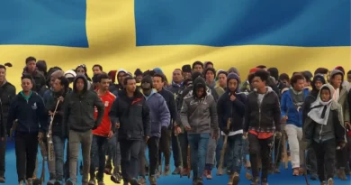 Οι ιδεοληπτικοί των ανοιχτών συνόρων και οι «μεταναστοπατέρες» ας ρίξουν μια ματιά στη Σουηδία