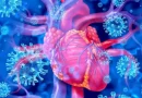 Οι νεκροψίες δείχνουν την αλήθεια: Εμβόλιο Covid βρέθηκε στις καρδιές νεκρών (χωρίς υποκείμενα νοσήματα), 30 ημέρες από τον εμβολιασμό