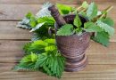 Φυτά και Βότανα της Ελληνικής Γής και Θεραπευτική Χρήση αυτών – Μέρος 2ο – Τσουκνίδα